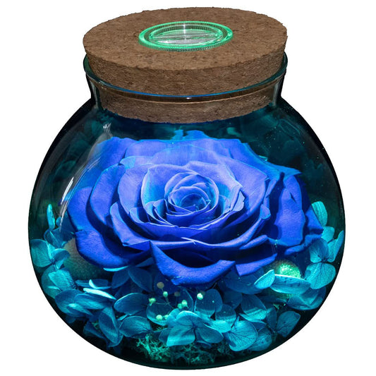 Wishing Bottle Eternal Rose Flower Eternal Valentine&#39;s Day Gift LED Light Home Ornament Decoration Holiday Gift