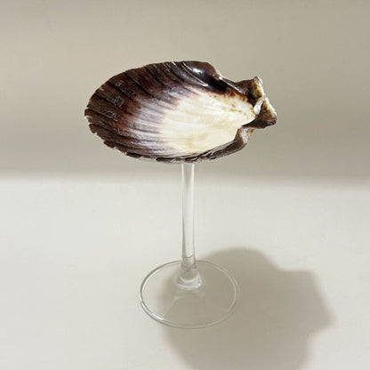 DIY shell conch wine glass creative souvenir ornament cup birthday gift